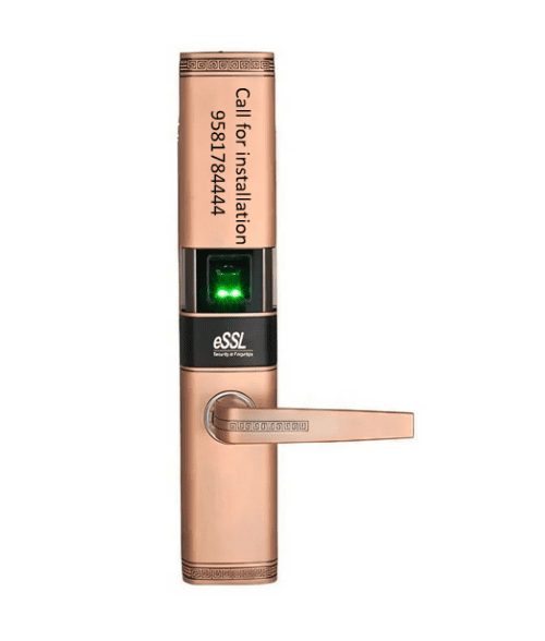 Essl TL200 Fingerprint Door Lock Zinc Alloy with Voice Guide Feature