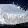 All Weather Protection Car Body Cover for Renault Pulse - Image 3