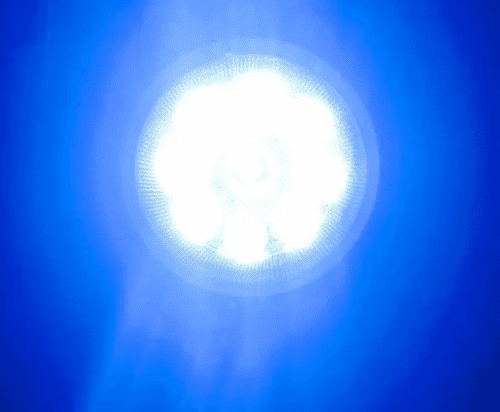 Ford Figo New Car Fog Light Fog Lamp - Image 3